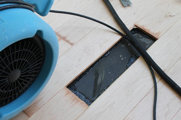 Water Damage Extraction