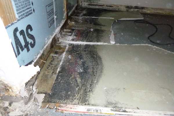 Crawl space mold removal remediation