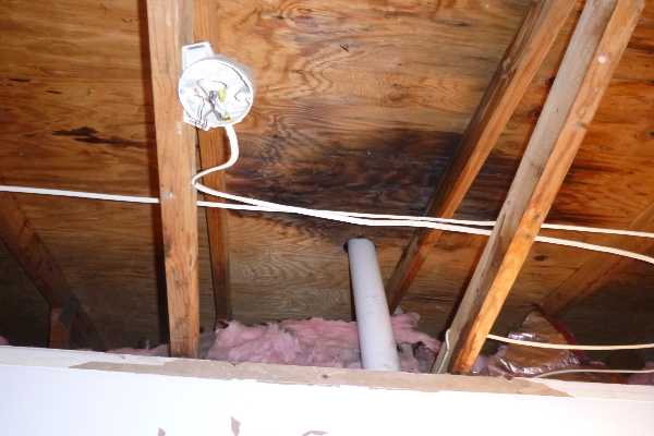crawl space mold, crawl space mold removal, crawl space mold remediation