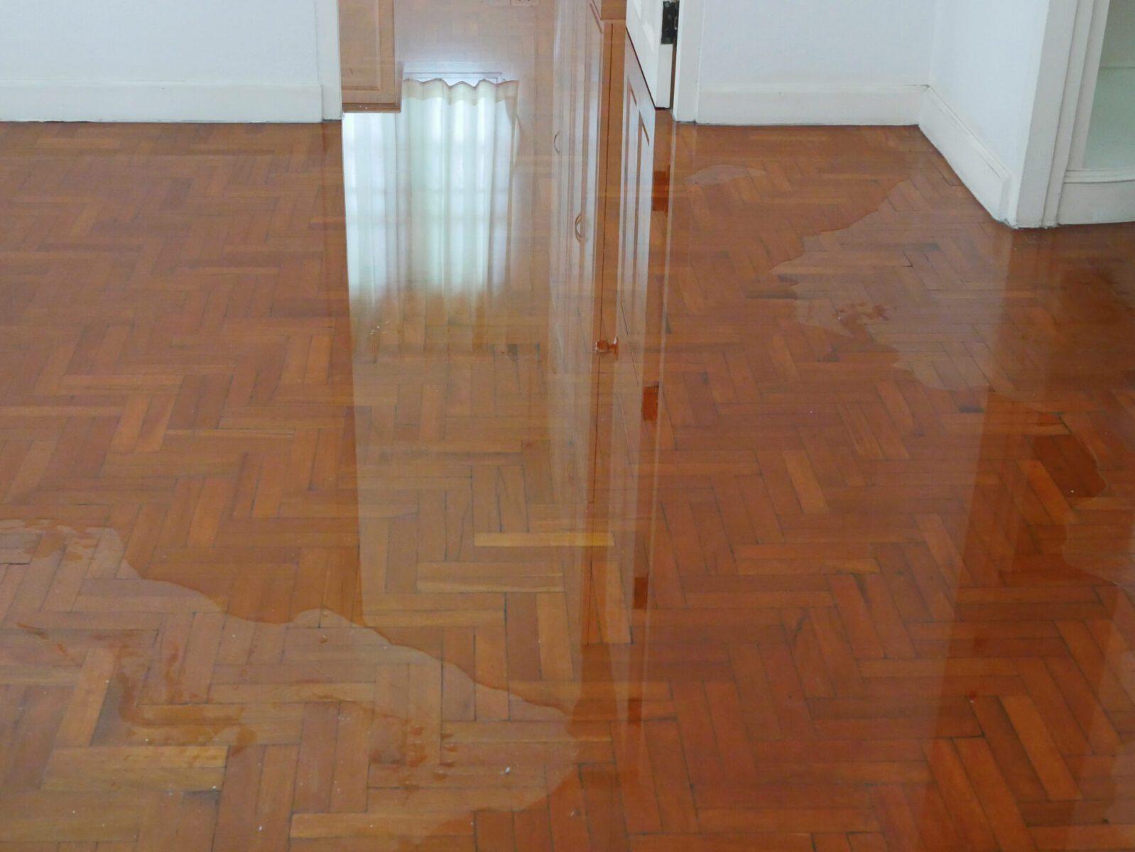 Wood Floor Water Damage