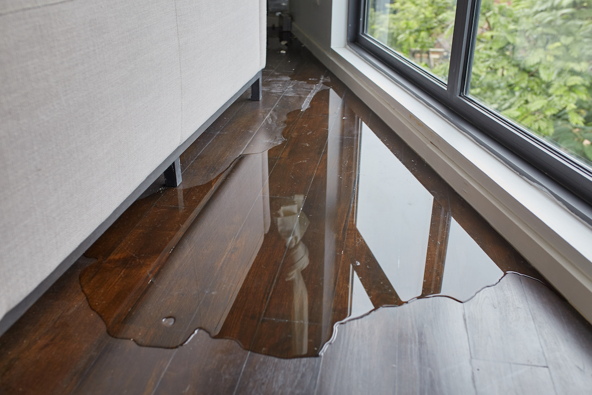 hardwood floor water damage behind couch