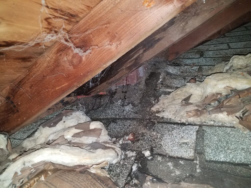 Wet Insulation from Attic