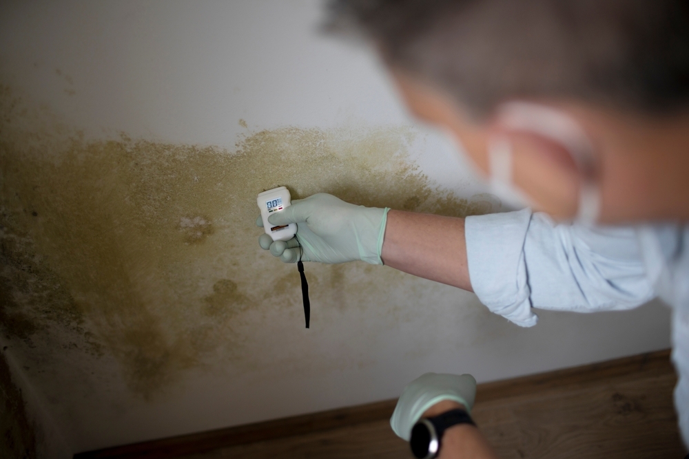 Man measures the moisture level on a wall with mold in an apartment in Encinitas