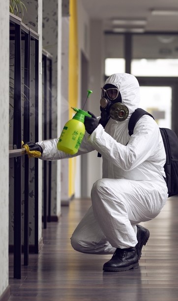 expert mold removal service in Huntington Beach, CA